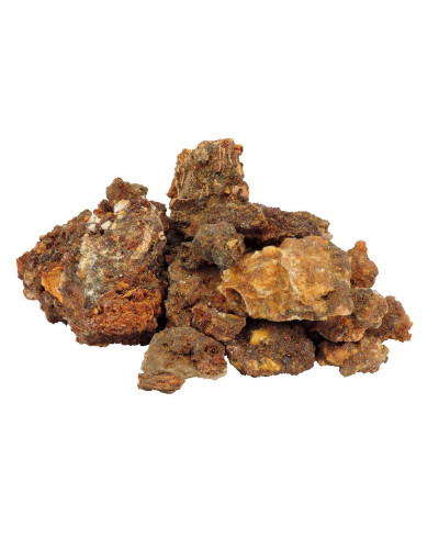 Commiphora Erythrea Opopanax