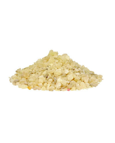 Canarium Strictum Dammar