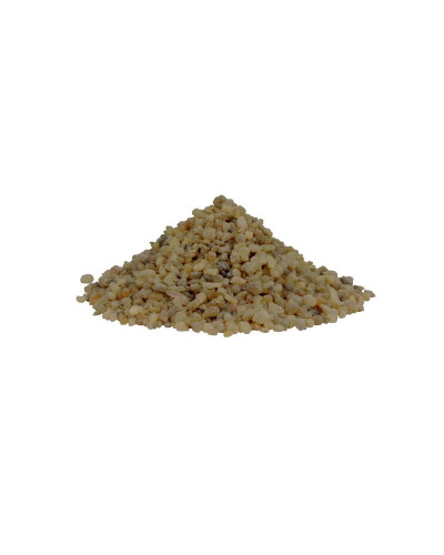 Protium Crassipetalum Copal Gold