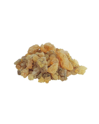 Shorea Wiesneri Copal White