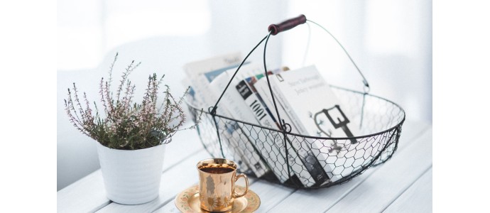 Urna pretium elit mauris cursus Curabitur at elit Vestibulum